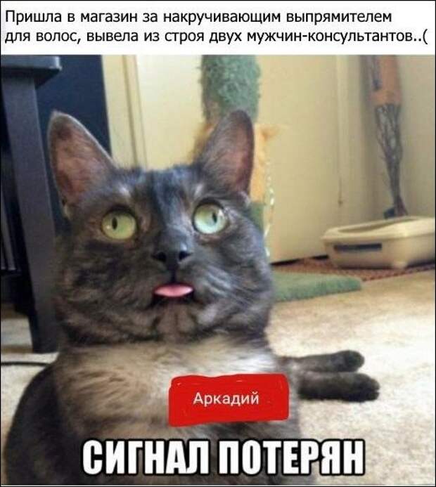 Смешные комментарии из социальных сетей прикол, юмор