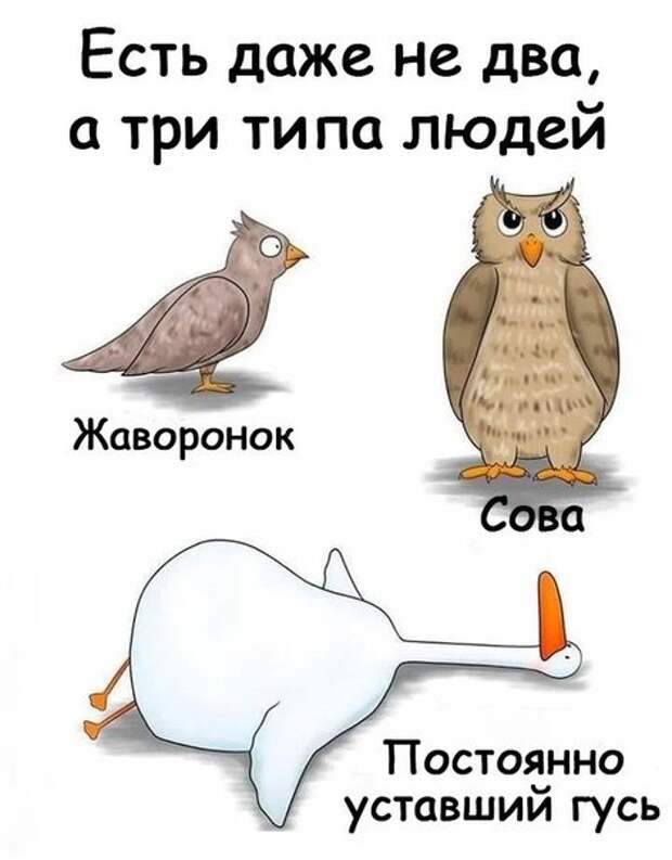 Картинки