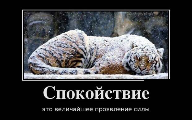 Утренние демотиваторы Утренние демотиваторы