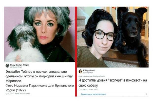 Скажи мне, кто твой кот, и я скажу, кто ты! :-)