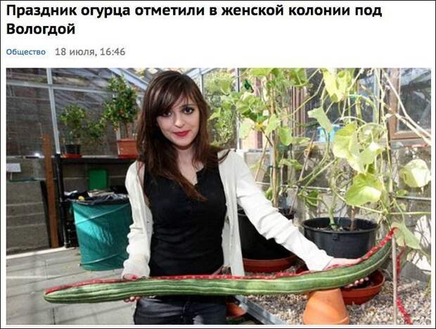 Смешные комментарии из социальных сетей прикол, юмор