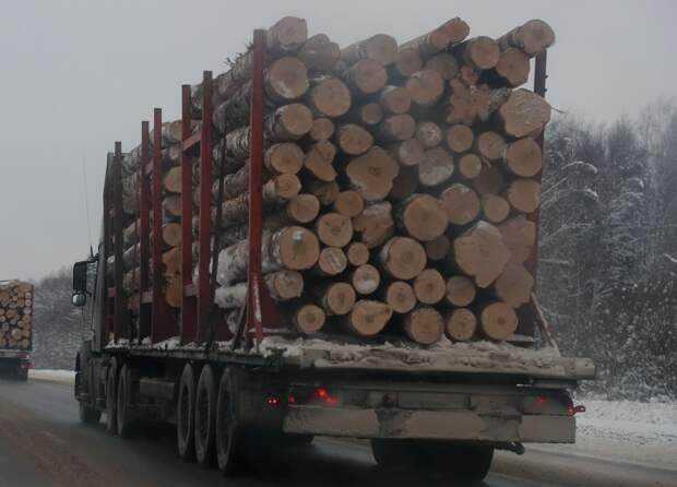 Лесовоз разнес частный дом в Чите, погибли три человека