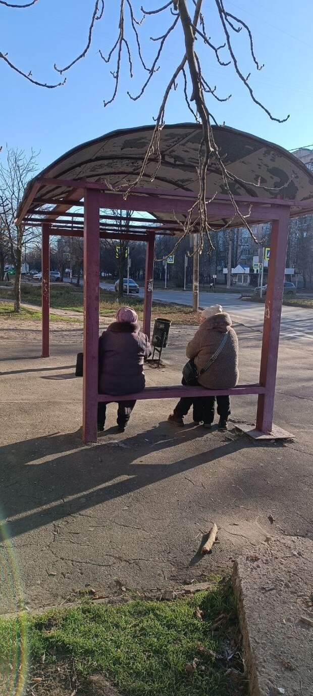 Остановка на Щетинина под названием всем ветрам на зло ни от дождя не от ветра