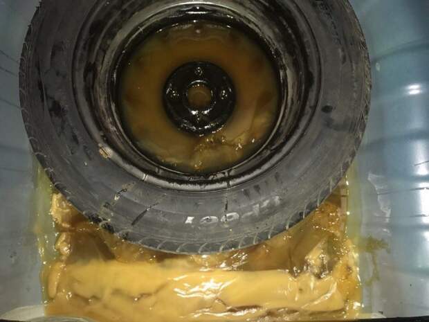 40 кг мёда в багажнике мед, колесо, багажник, длиннопост