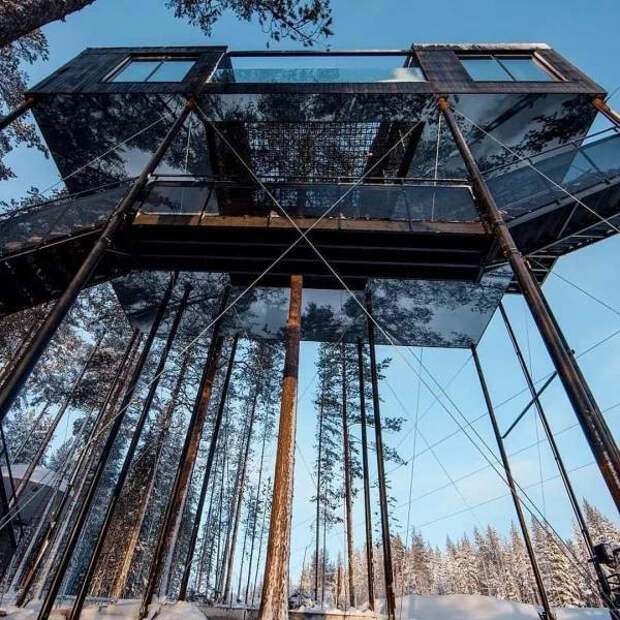 Разные домики на деревьях — мечта детства