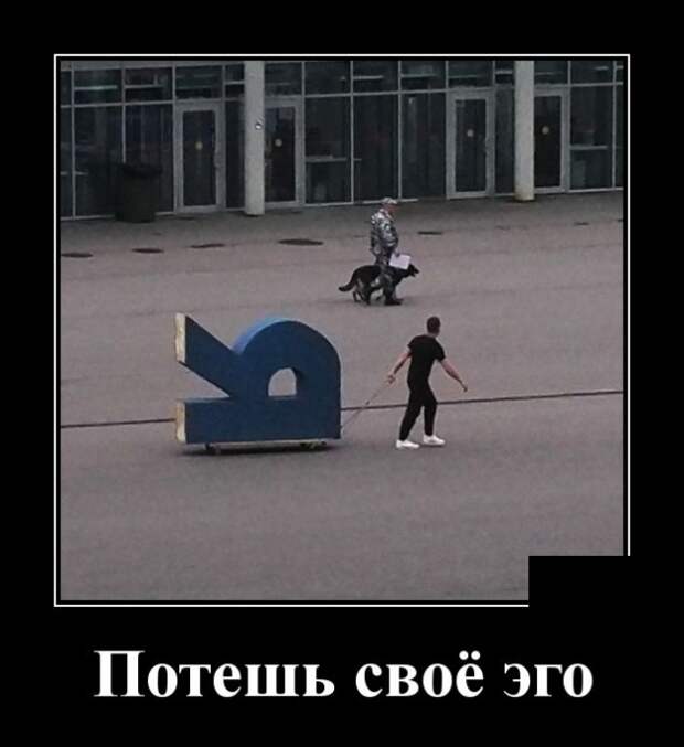 Демотиваторы (30 фото)