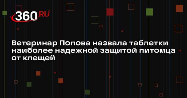 Ветеринар Попова назвала таблетки наиболее надежной защитой питомца от клещей