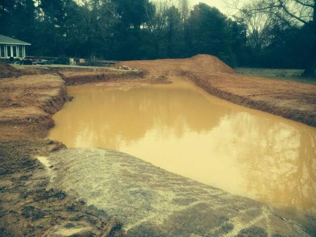 Площадь около дома выглядела скучно. Мужчина потратил три года и своими руками создал красоту: фото