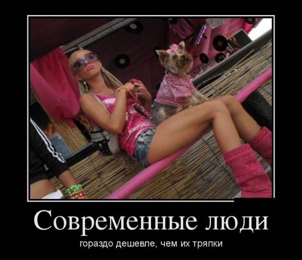 Утренние демотиваторы Утренние демотиваторы