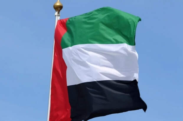 FT: выход ОАЭ из ОПЕК станет большим ударом для картеля и Саудовской Аравии