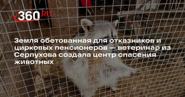 Супруги из Серпухова спасли более 50 животных