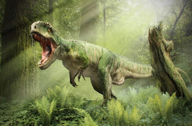 Найден предок гигантских динозавров — он очень маленький
