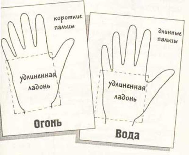 Понять длинный. Длинные пальцы как определить. Значение формы рук. Руки характер человека форма. Длинные пальцы и короткие характер.