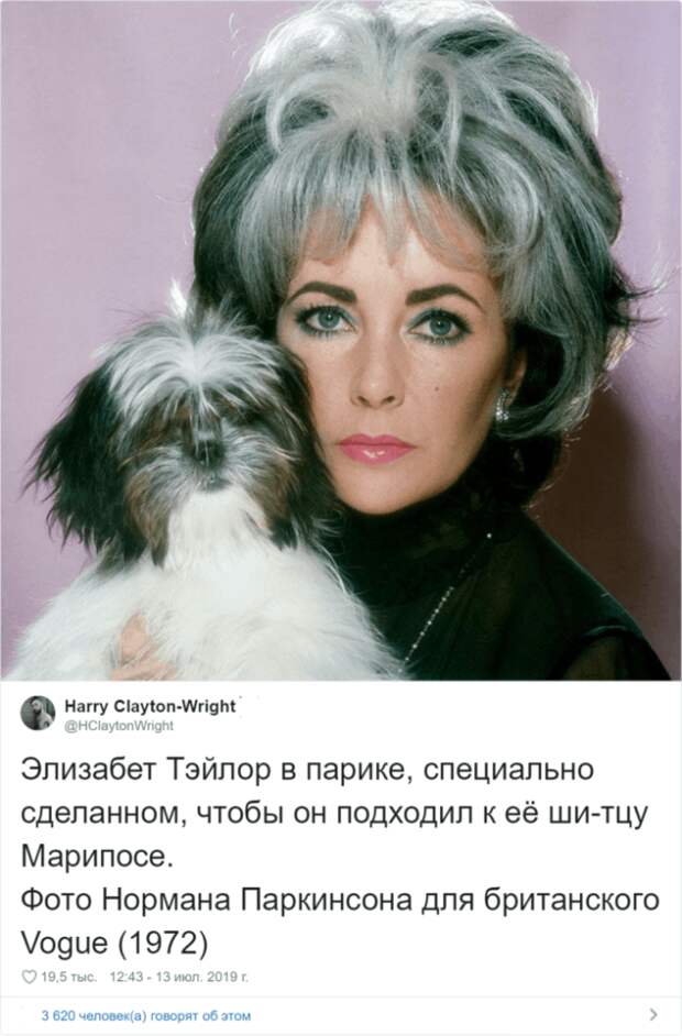 Sдин в один питомцы и их владельцы похожие друг на друга как две капли воды