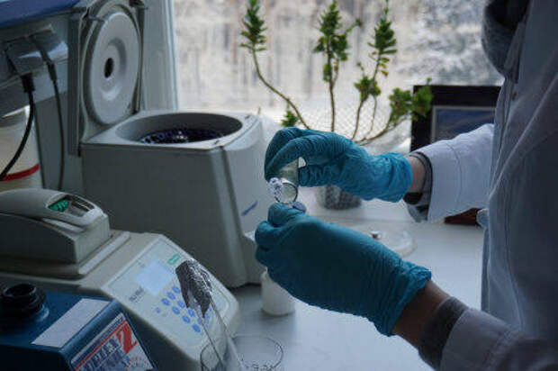 Красноярские ученые научились определять токсичность наночастиц