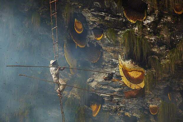 Непальские охотники за медом honeyhunters07 Непальские охотники за медом