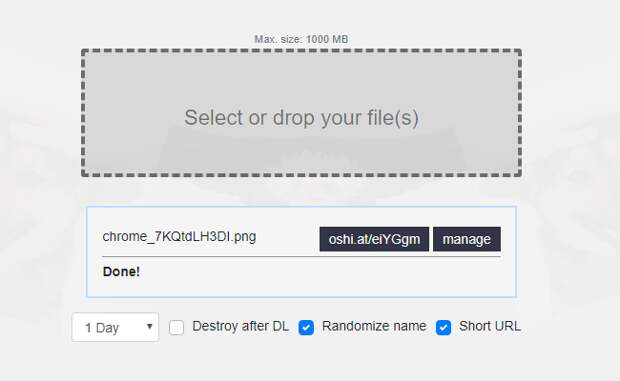 oshi free image hosting