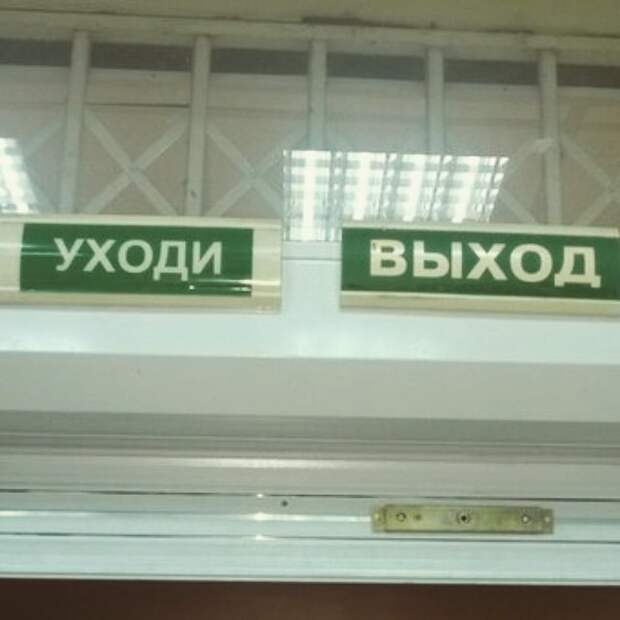 Забавные картинки с надписью для настроения (10 фото)