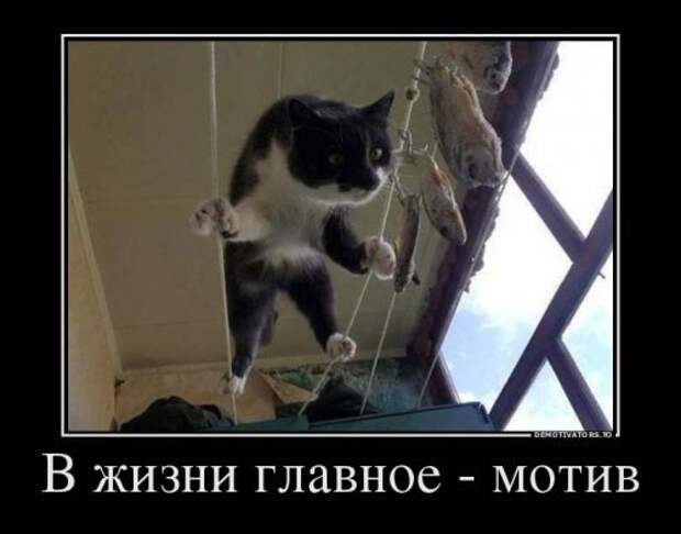 Демотиваторы-новинки. Смеёмся вместе Демотиваторы-новинки. Смеёмся вместе