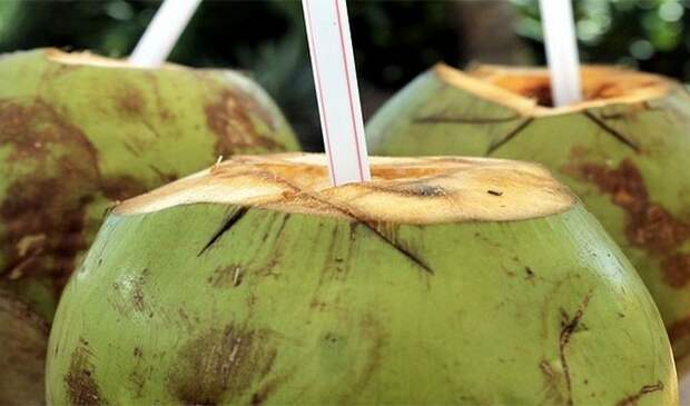 Жидкость незрелых кокосов.