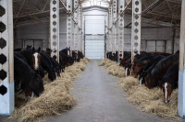 Определены проекты комплексного развития сельских территорий Ивановской области для реализации по госпрограмме в 2026 году