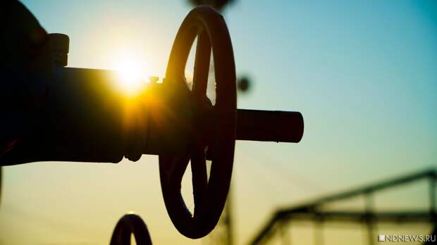 Иранский кризис стал поводом для ОАЭ покинуть ОПЕК