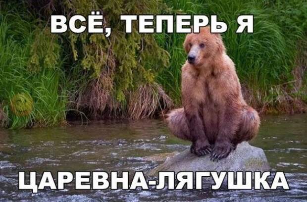 Позитив и веселье с фото приколaми  прикол, юмор