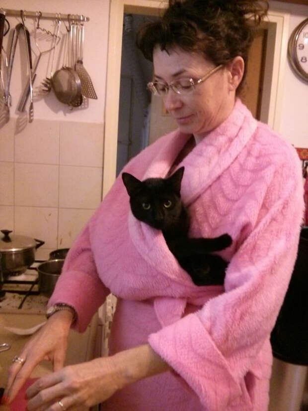 Котики всегда помогут найти самое тёплое место в доме