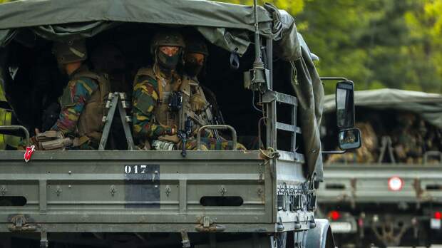 В Бельгии признали, что НАТО может быть «бумажным тигром»