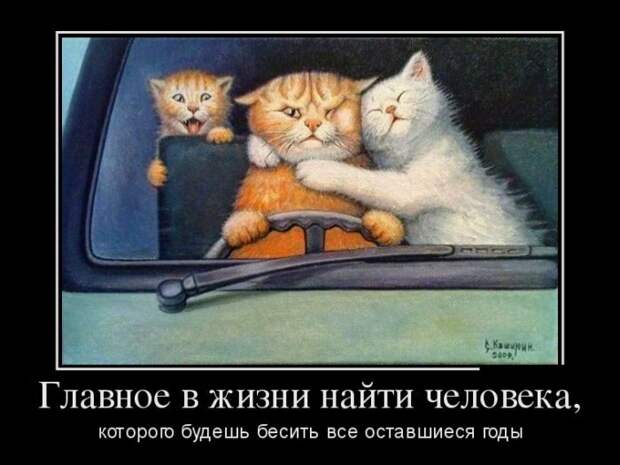 Весёленькие демотиваторы