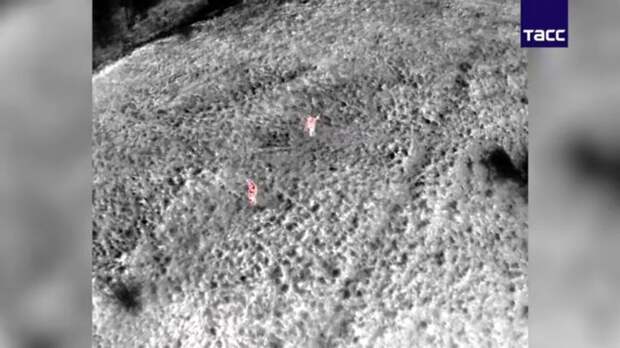 Танец на поле боя! ВСУ под веществами стали интернет-хитом в Сети