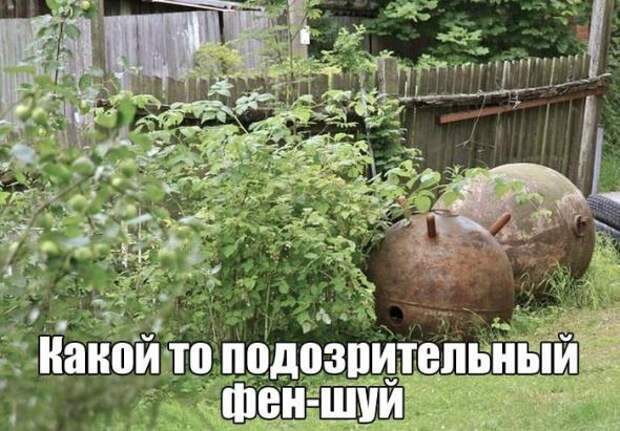Картинки, юмор, приколы