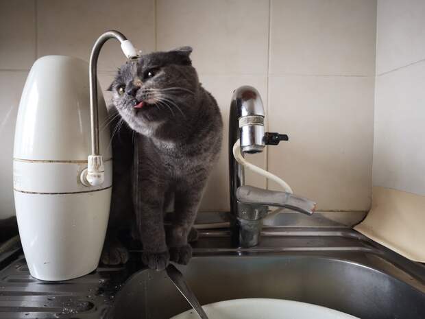 Как экономить воду: 5 простых способов