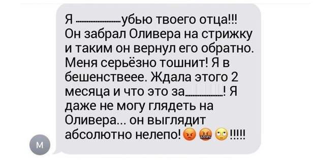 Доверься мужчине. Девушка попросила отца отвезти кота на стрижку: над результатом смеется весь Интернет