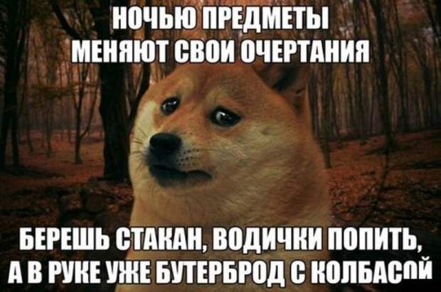 Прикольные фотомемы (30 шт)
