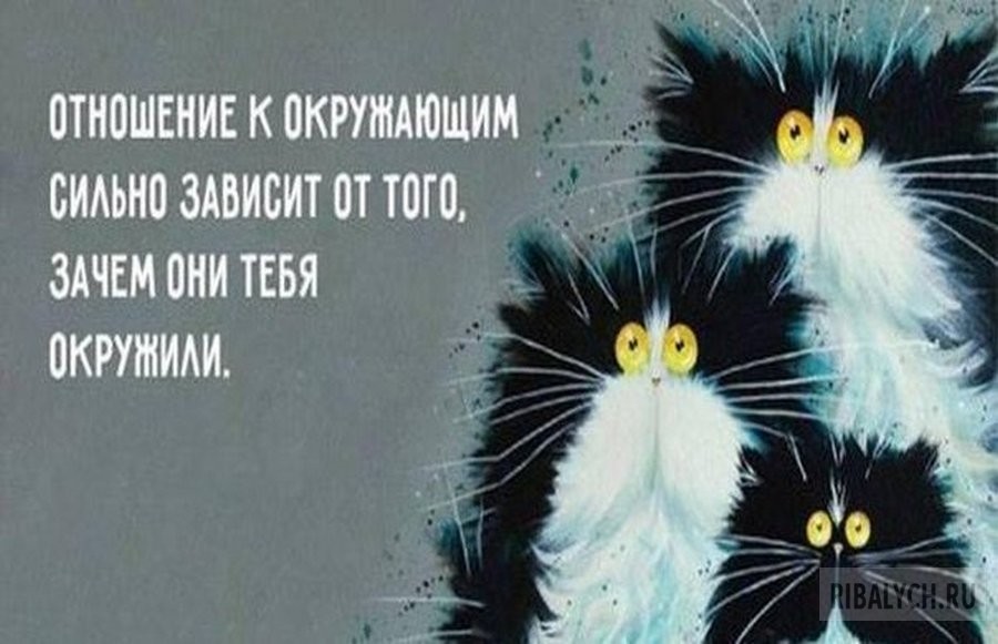 воскресный юмор