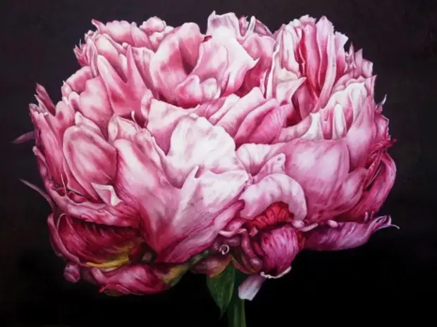 Художник Marie Burke. Цветочные акварели