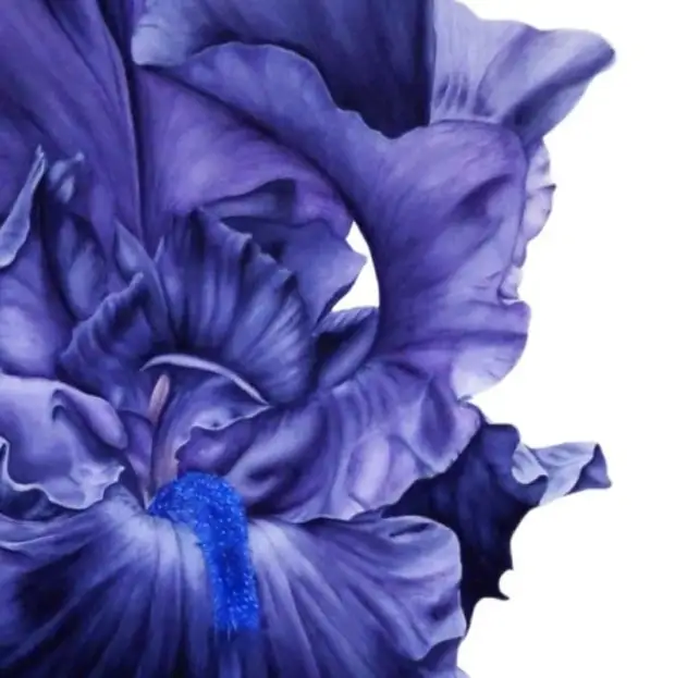 Художник Marie Burke. Цветочные акварели