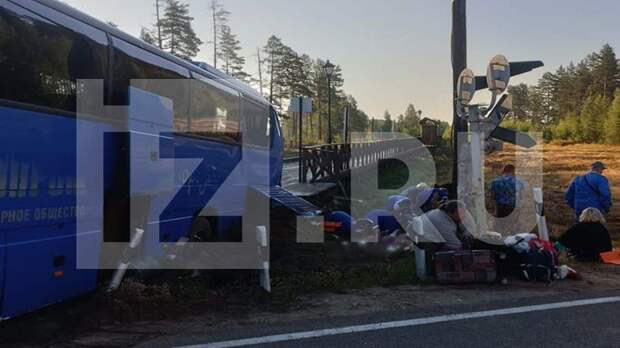 Два человека погибли и 10 пострадали при ДТП с участием поезда в Ленобласти
