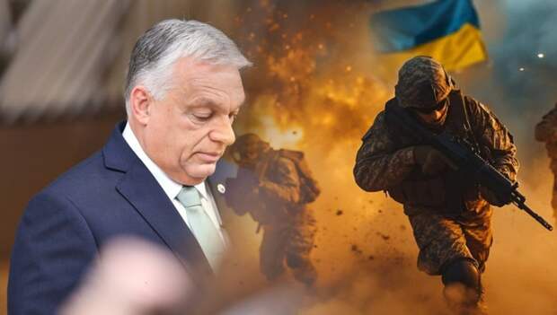 Коллаж Novorosinform