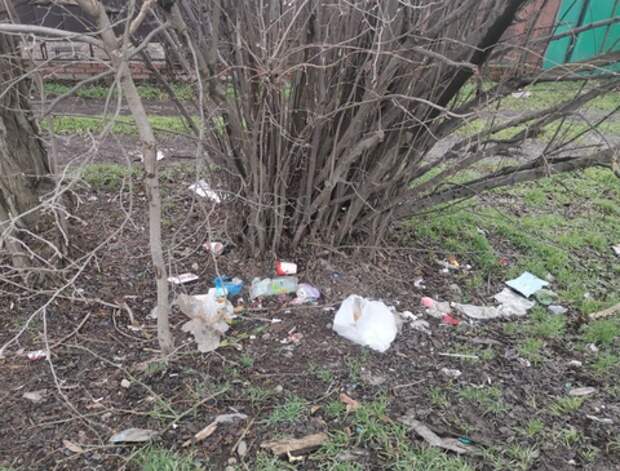 Замусоренный Краснодар планируют начать освобождать от отходов 2 марта