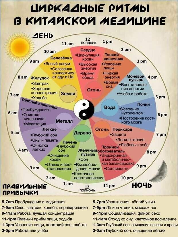 Фотография: Строго по расписанию: почему китайцы едят только в 12 дня и спят на рабочем месте №2 - BigPicture.ru