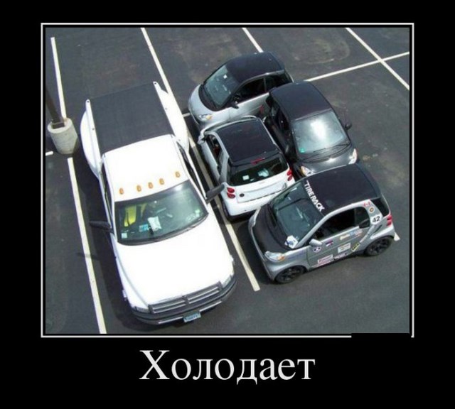Прикольные новые демотиваторы