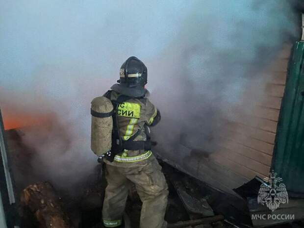 Фото: МЧС Алтайского края