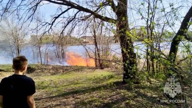 Школьников из Балаково наградили за помощь при тушении пожара