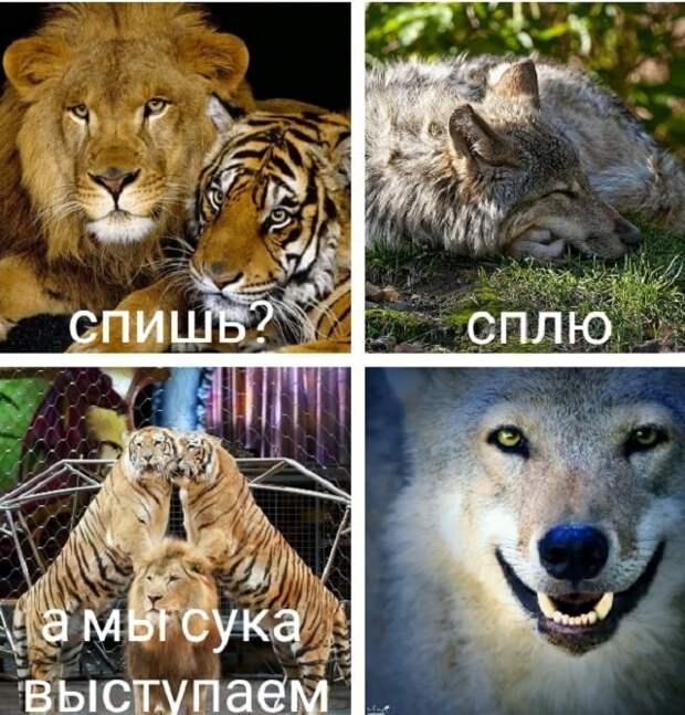www.vsyako.net