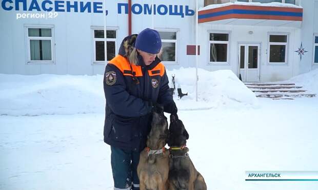 Женщины Поморья ломают стереотипы о «мужских» профессиях