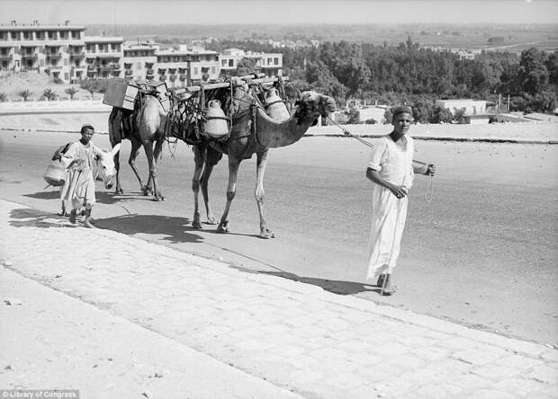 Каир 1900 - 1936