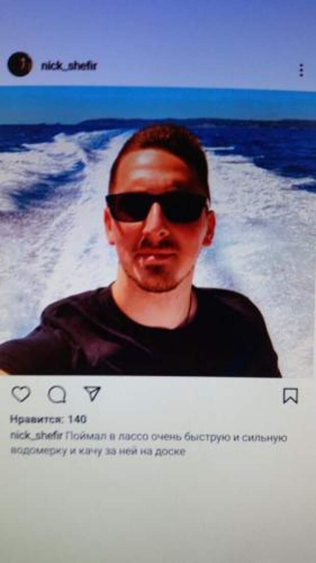 shfer4.jpg