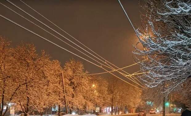 Погода в Ростове-на-Дону 25 января 2022: прогноз синоптиков